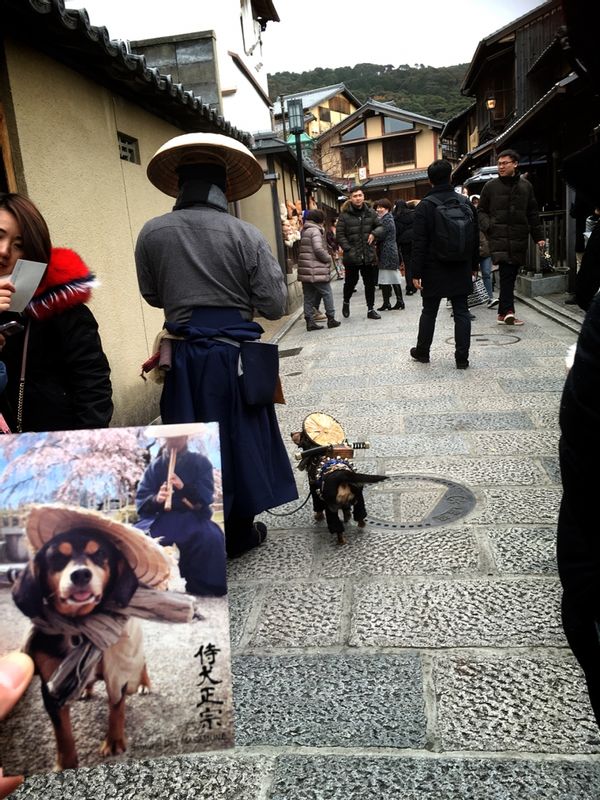 Osaka Private Tour - Very rarely appear SAMURAI DOG at Kyoto lol