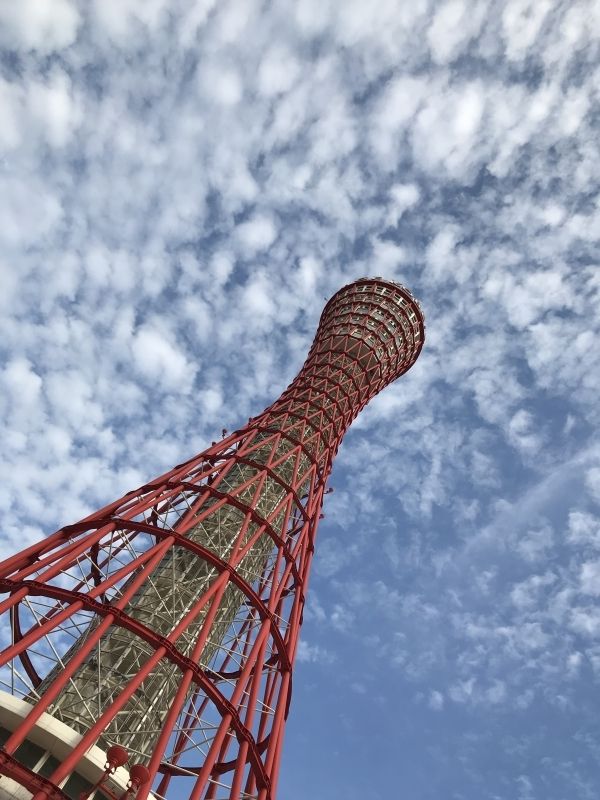 Osaka Private Tour - Kobe tower with scale sky