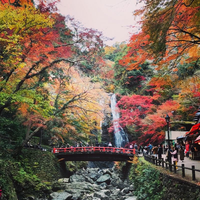 Osaka Private Tour - Minoo waterfall with autumn color