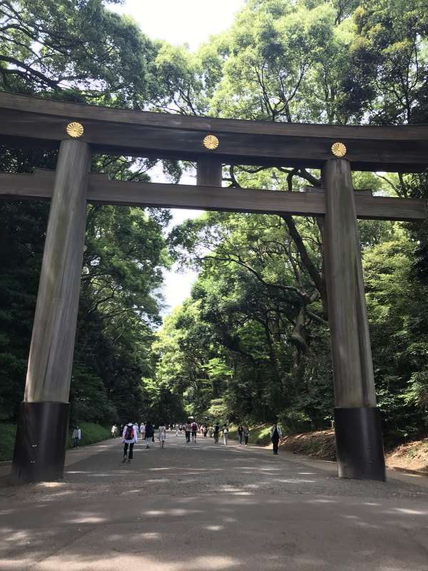 Tokyo Private Tour - Meiji Shrine. 