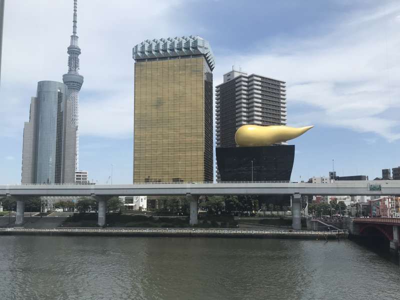 Tokyo Private Tour - The view of Asakusa