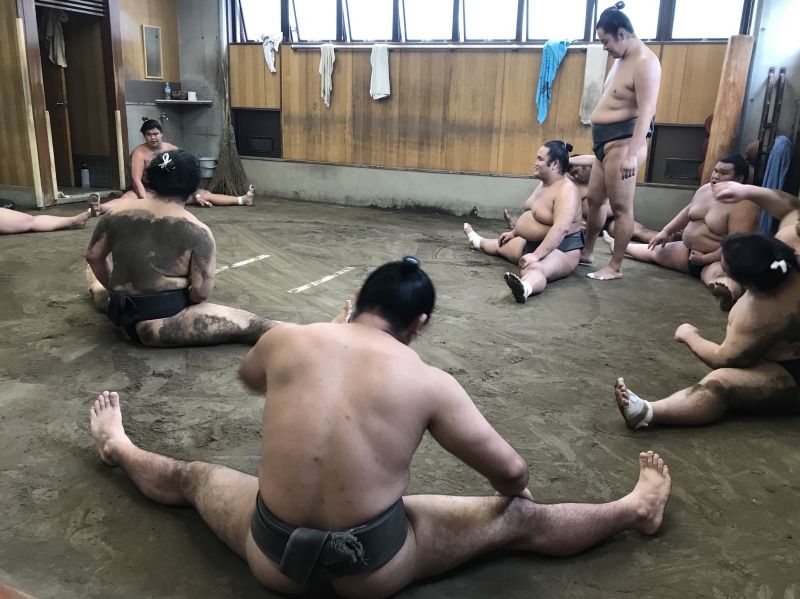 Tokyo Private Tour - Sumo training.