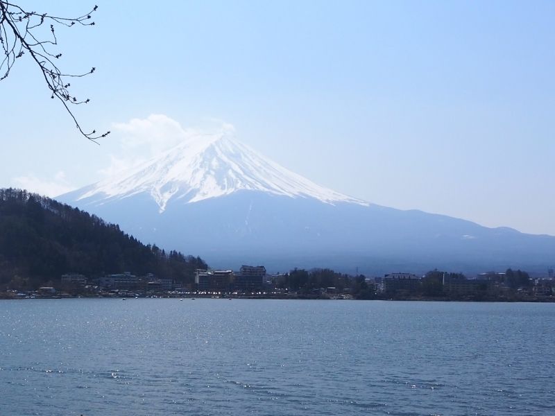 Tokyo Private Tour - Mt Fuji 