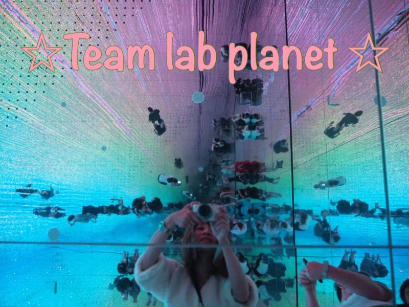 Tokyo Private Tour - Team lab planets 