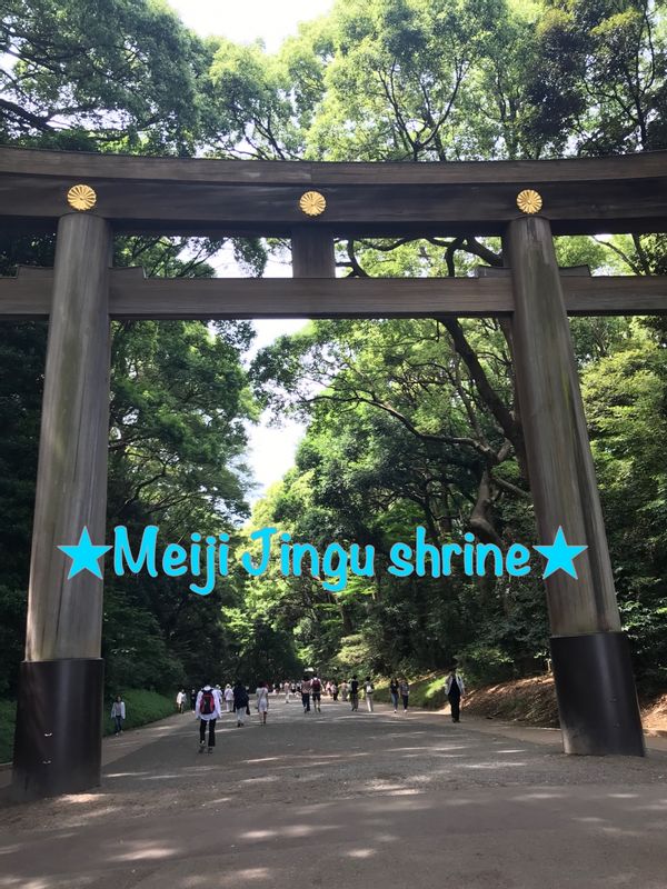 Tokyo Private Tour - Most important shrine in Tokyo, named after emperor and situated in 170 acres of forest. 