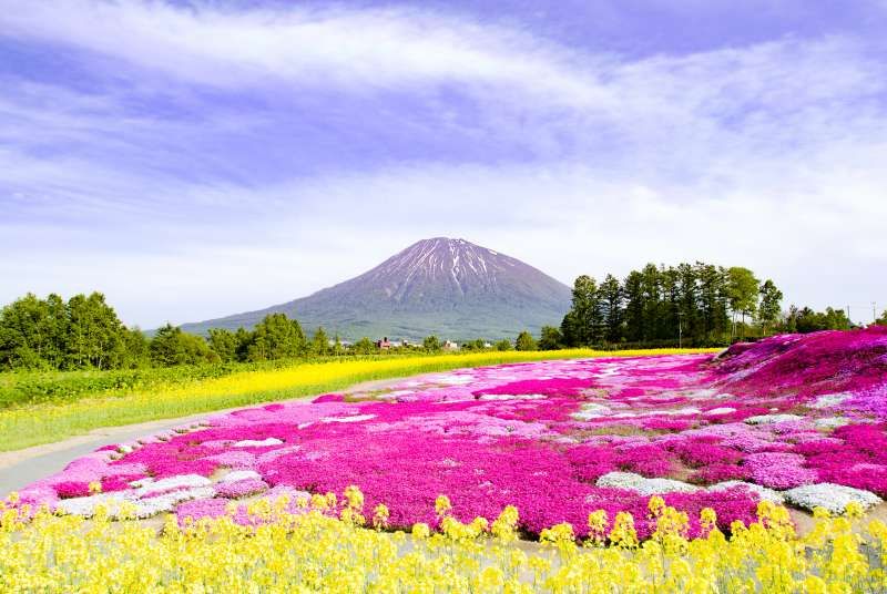 Hokkaido Private Tour - Flower Garden in Niseko 