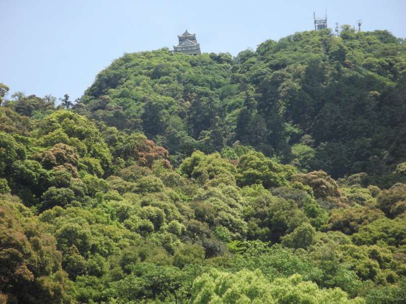 Gifu Private Tour - Giifu castle on top of Mt.Kinka.(328.86 meters high)