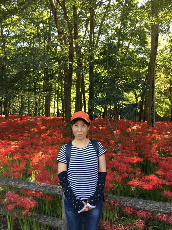 Tokyo Private Tour - In autum. red lilies are in full bloom in Saitama,