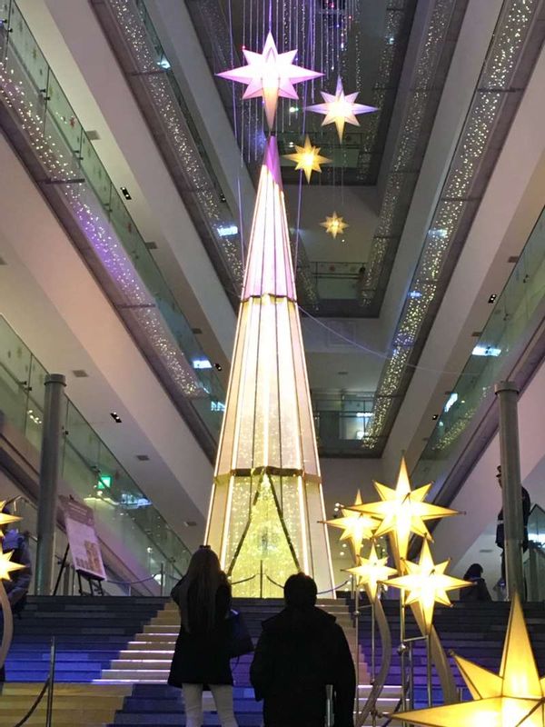 Tokyo Private Tour - HOW beautiful a X"mas tree is at Ｏmote Sando Ｈills!