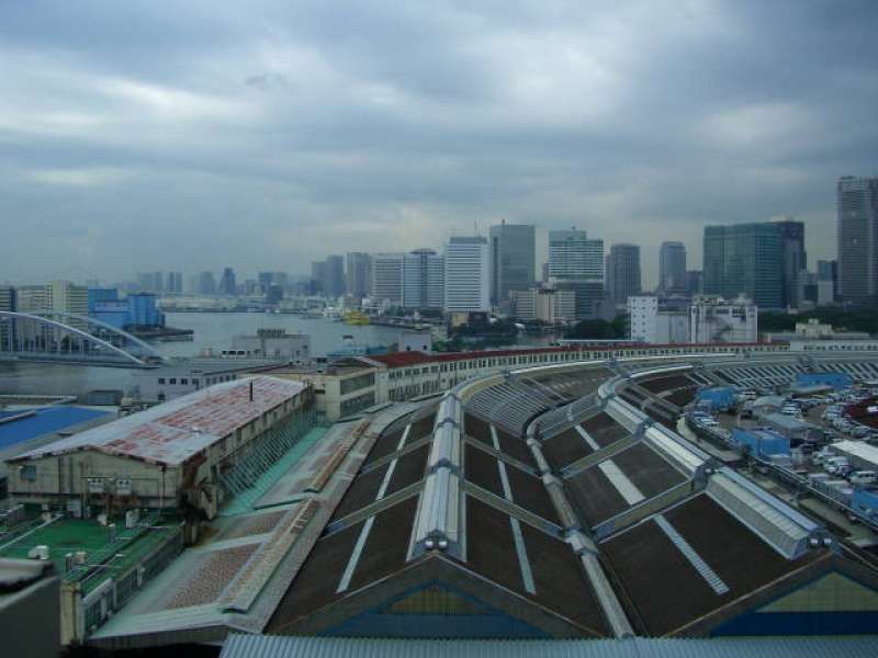 Tokyo Private Tour - Tsukiji Market