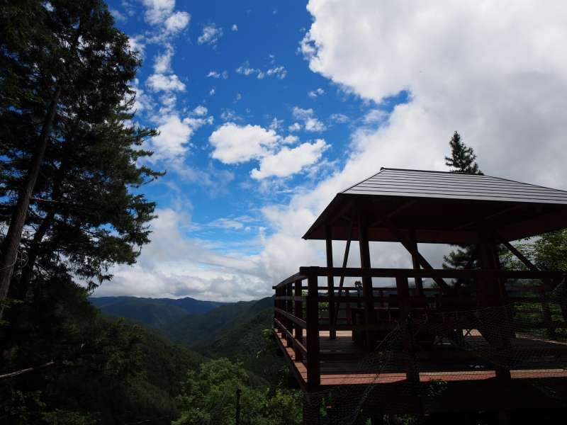 Mount Koya Private Tour -  Ancient pilgrimage trails and lunch with mountain panorama view