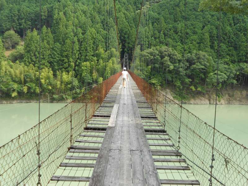 Wakayama Private Tour - A suspension bridge on “Futatsuno” dam lake. All of these bridges were built for the lifeline for local people. Today very few people use the bridge. So some are broken some are rotten so they are very thrilling.