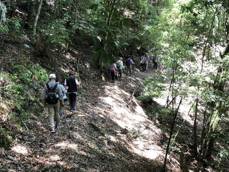 Wakayama Private Tour - We are walking on a ancient road. There are many ancient road the most famous “Kumano Kodo”, “Koya Choishi” road “Rujin” road “Koya seven climber” road, so on. This route called "Ikadashi-no-Michi".