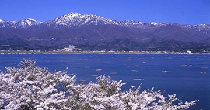 Sado Private Tour - Mt,kinpoku;lake kamo:cherry blossoms