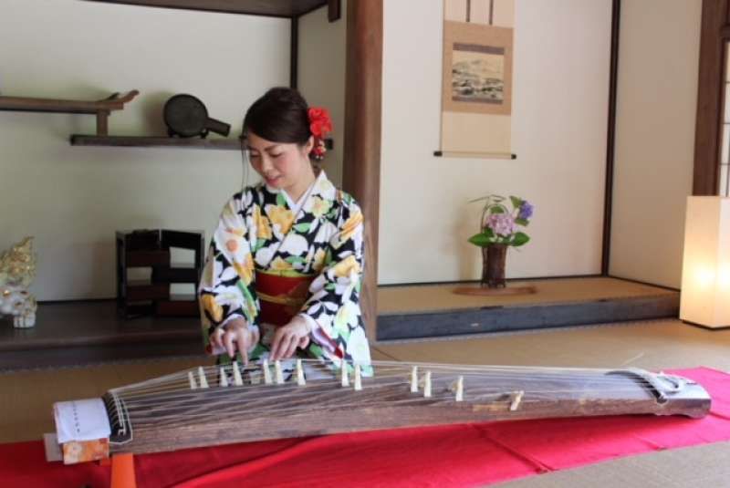 Oita Private Tour - Try Japanese traditional musical instrument called Koto It's not difficult.