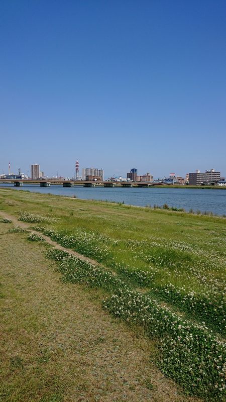 Niigata Private Tour - Shinano Riverbank view