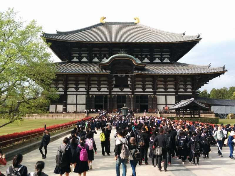 Osaka Private Tour - Todaiji Temple(Nara)