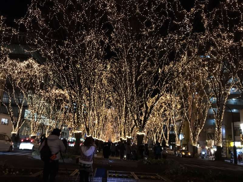 Miyagi Private Tour - Sendai city is famous for its Christmas lights in December! 