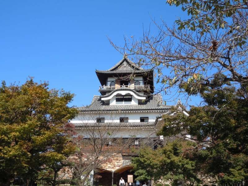 Aichi Private Tour - Inuyama castle 