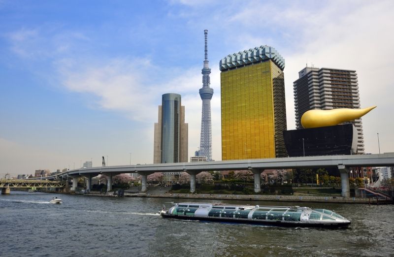 Kanagawa Private Tour - Tokyou skytree