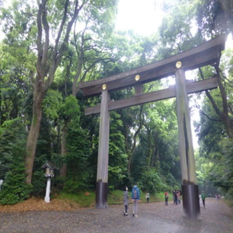 Ibaraki Private Tour - First Torii gate of Meiji Jingu!.