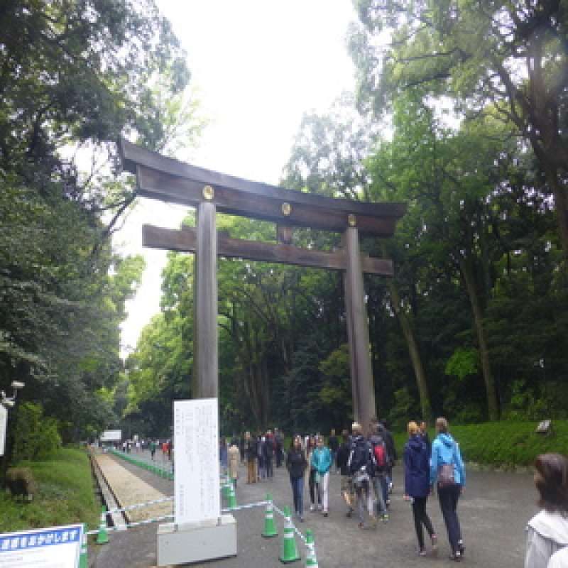 Ibaraki Private Tour - The second Torii of Meiji shrine. The largest Torii gate.