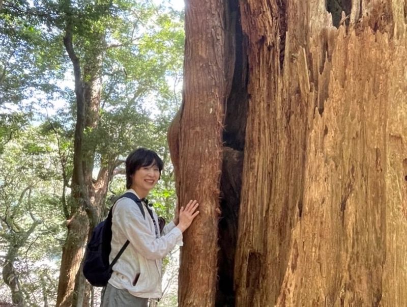 Wakayama Private Tour - With an ancient cedar tree