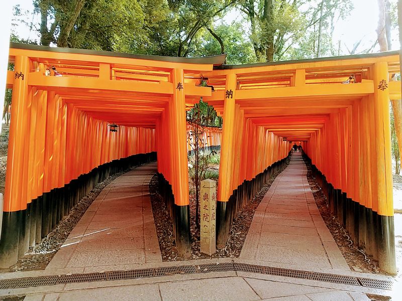 Shiga Private Tour - Fushimi Inari Shrine
