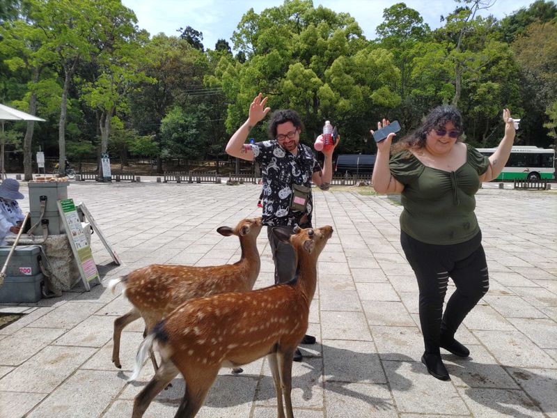 Shiga Private Tour - Wonderful couple with deer