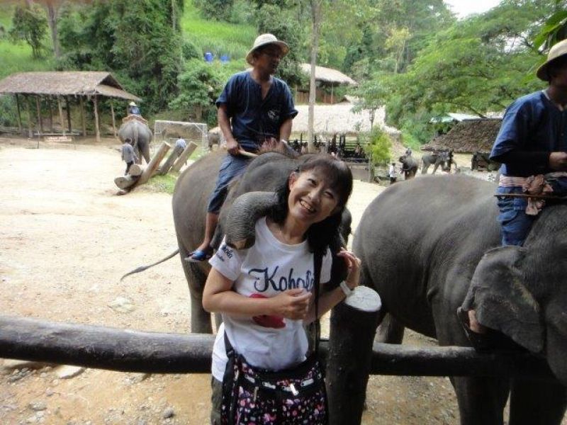 Shiga Private Tour - I like elephants...in Chiang Mai, Thailand