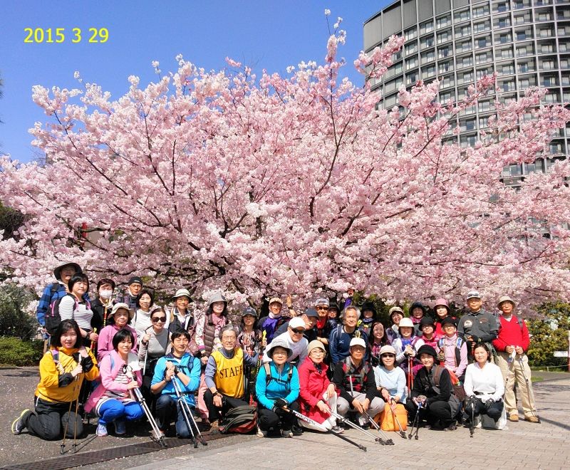 Yokohama Private Tour - I like walking with ‘Nordic Pole Walking’.