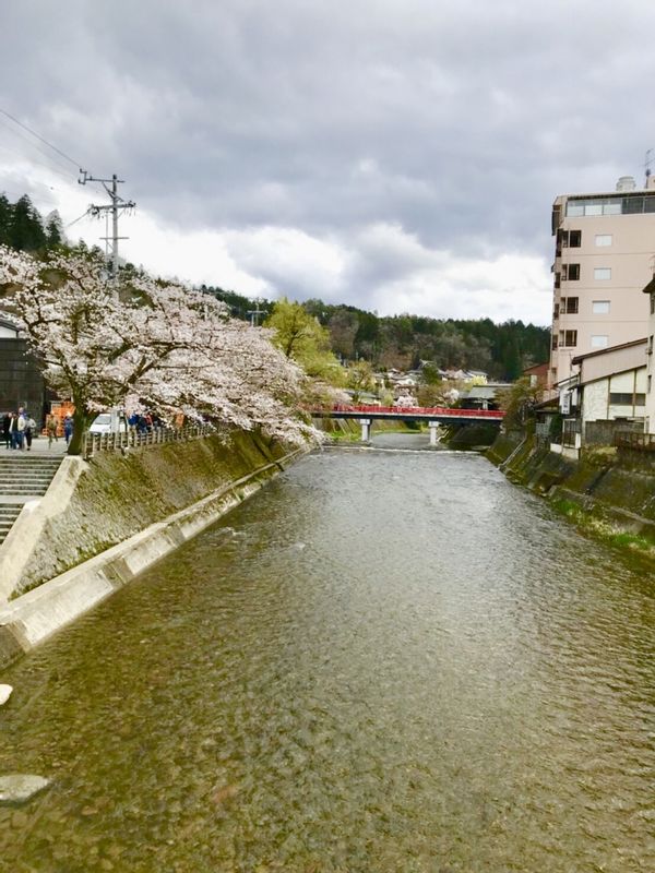 Takayama Private Tour - takayama 