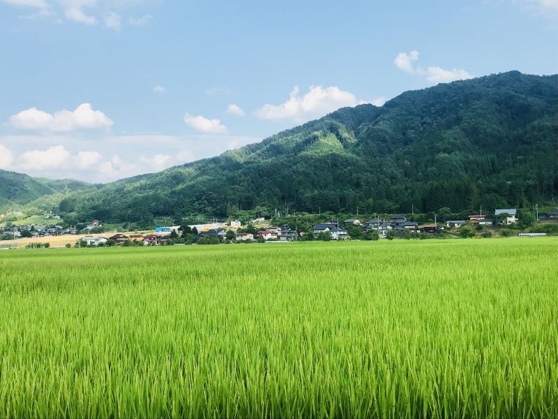 Takayama Private Tour - takayama 