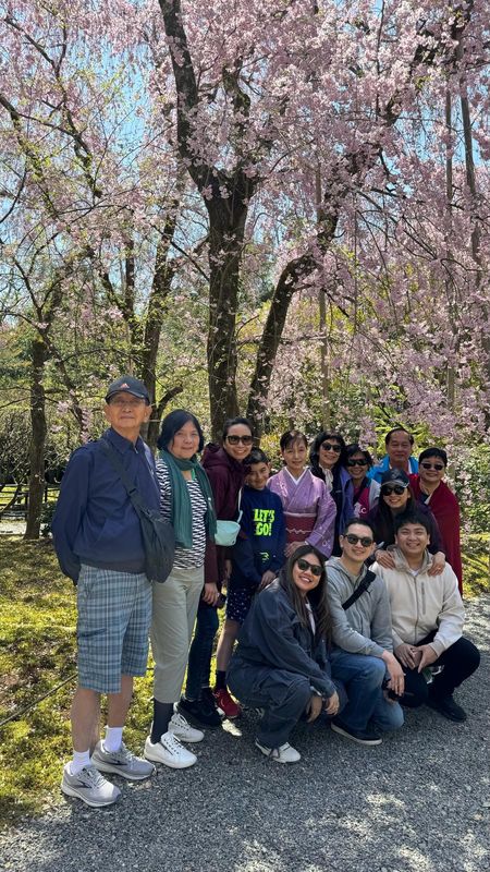 Gifu Private Tour - At Ryoan-ji Temple in Kyoto