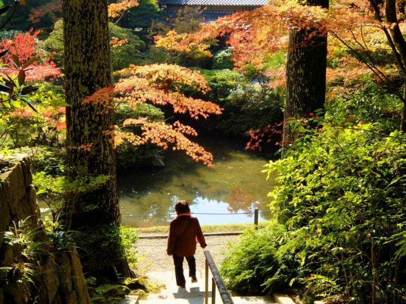 Nara Private Tour - Enshouji(garden)