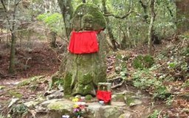 Nara Private Tour - Stone Buddha image