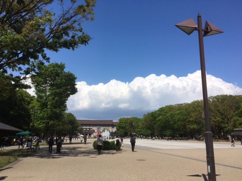 Tokyo Private Tour - Ueno Park & the National Museum  in summer