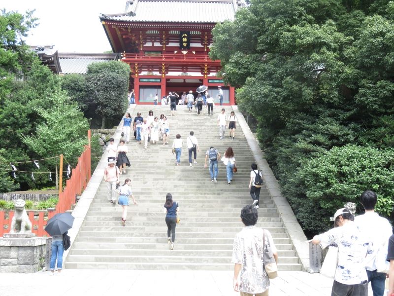 Tokyo Private Tour - Tsurugaoka-hachimangu Shrine in Kamakura