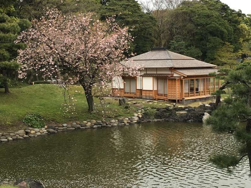 Tokyo Private Tour - Hamarikyu Japanese Landscape Garden and tea house　