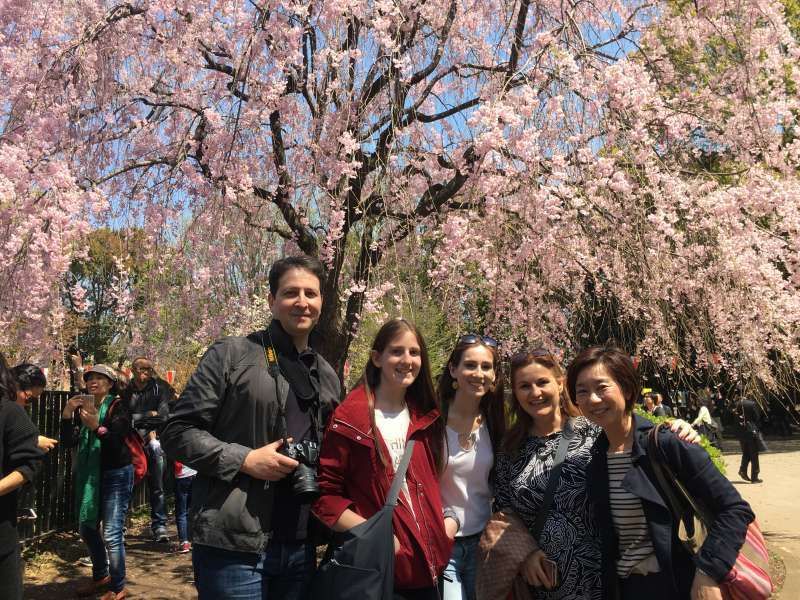 Tokyo Private Tour - Beatiful day! Beatiful cherry blossom @ Ueno.