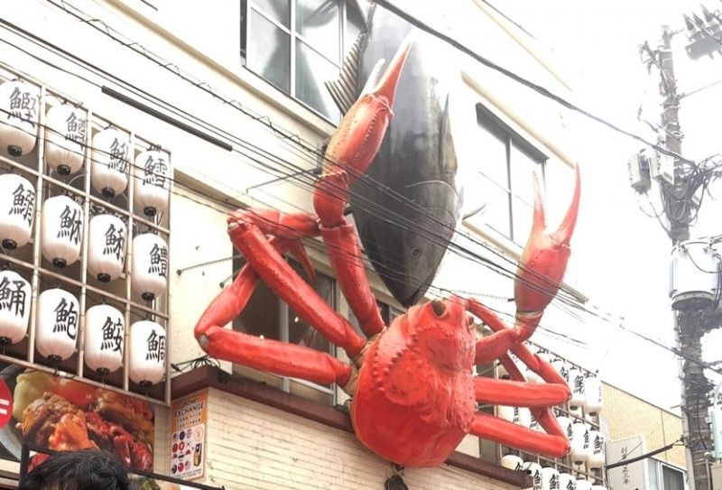 Tokyo Private Tour - Tsukiji Market 