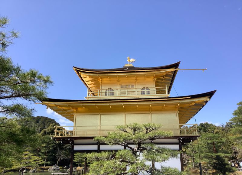 Kyoto Private Tour - Golden Pavilion, Kinkakuji Temple