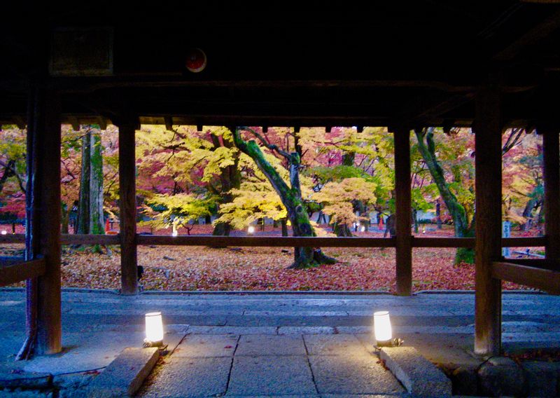 Kyoto Private Tour - Tohfukuji Temple