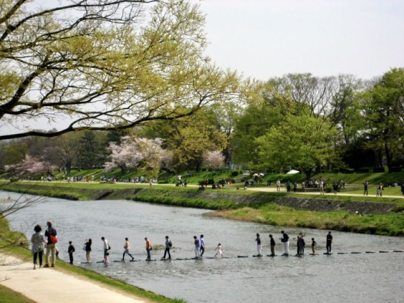 Kyoto Private Tour - Kamo river in Kyoto-city; it is loved by most of the Kyoto residents.