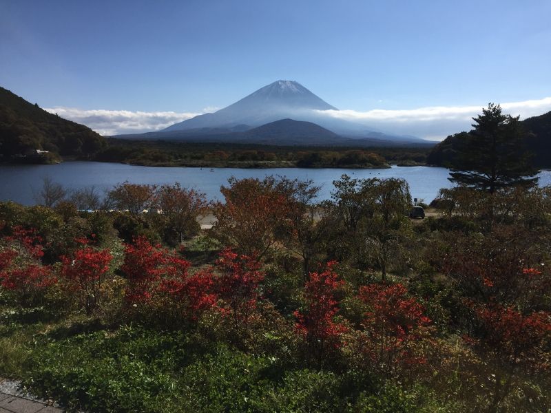 Tokyo Private Tour - Monte Fuji por Shojiko opcional tour