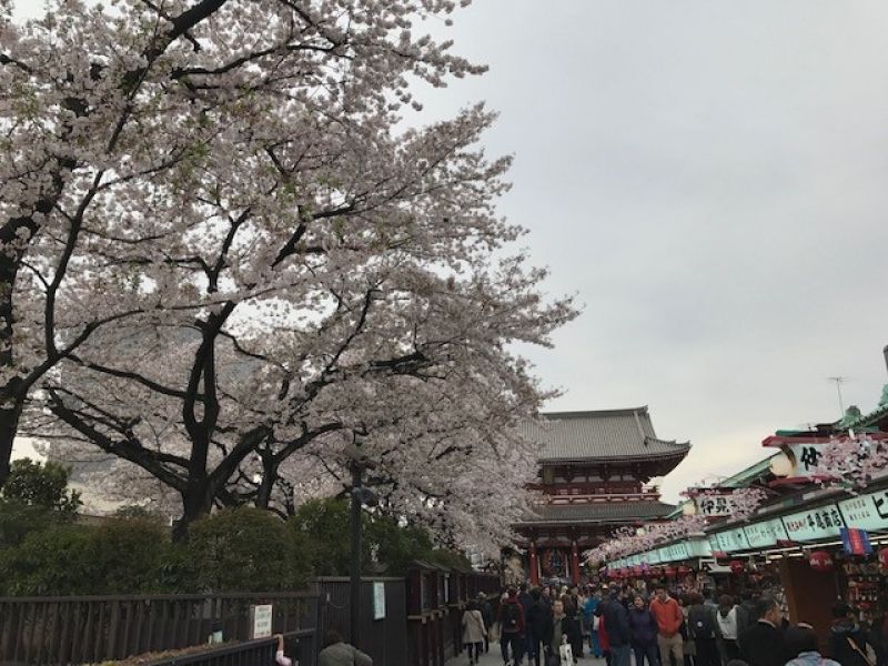 Tokyo Private Tour - Asakusa　Sensouji　