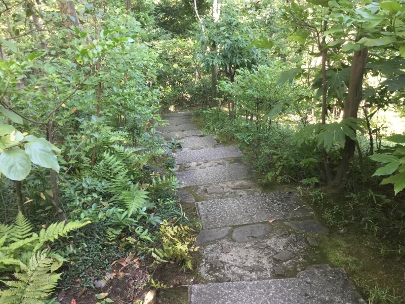 Chiba Private Tour - Narrow path in a Japanese garden