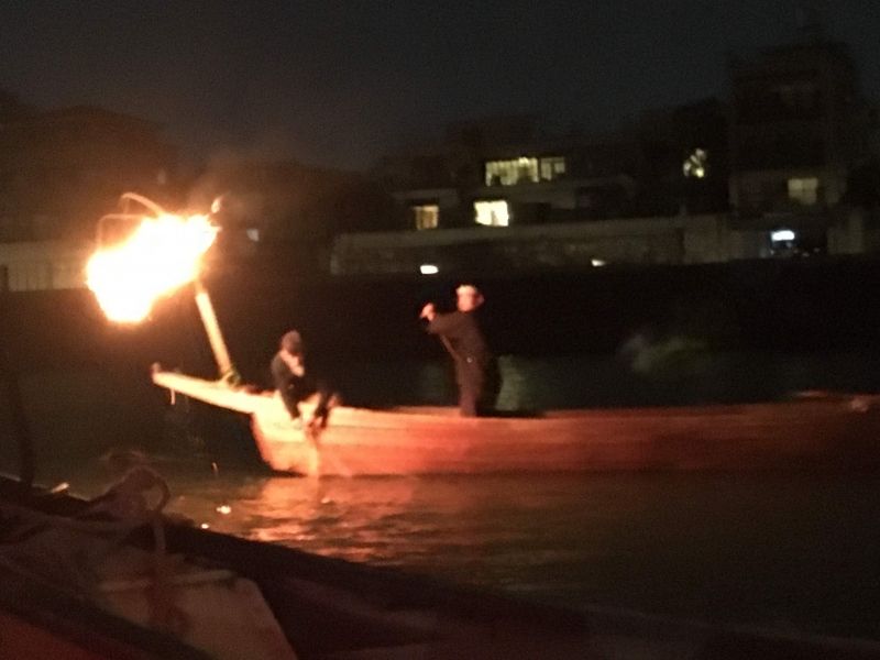 Gifu Private Tour - Cormorant fishing in Nagara river, Gifu city.