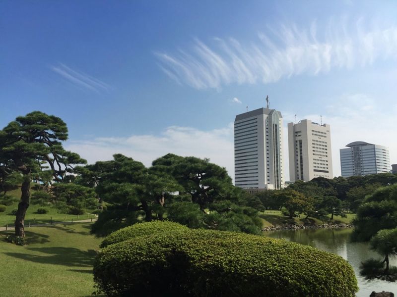 Tokyo Private Tour - Many beautiful Japanese-style gardens in Tokyo in each season.