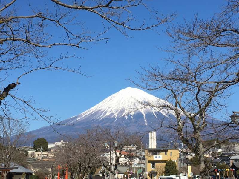 Shizuoka Private Tour - Mt. Fuji View from Sengen shrine